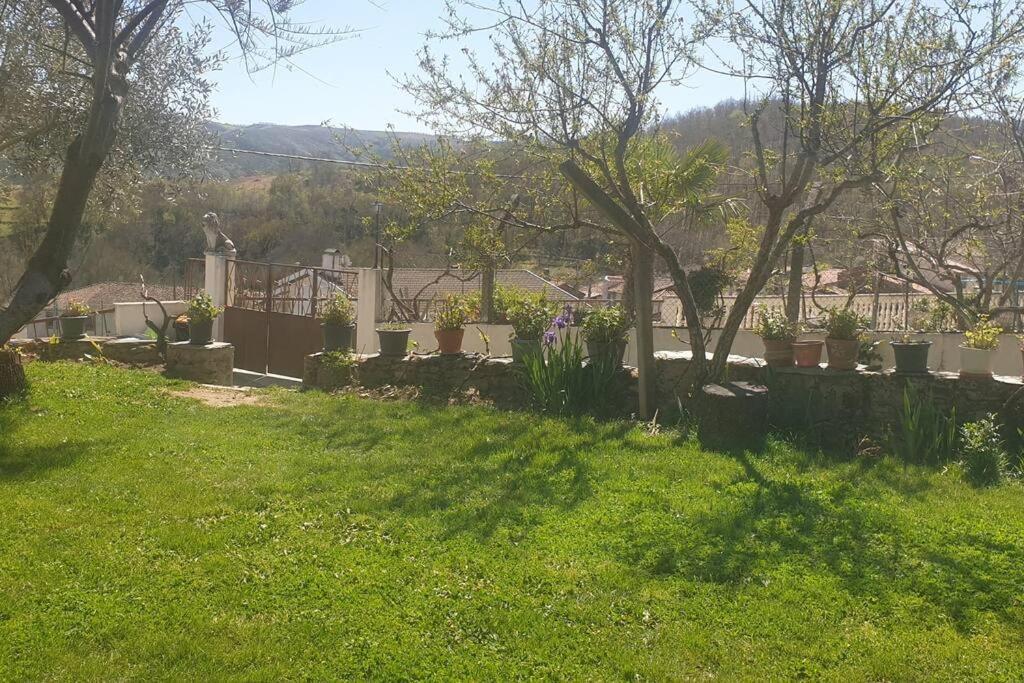 Casa Restaurante O Pites Villa Alfaiao Kültér fotó